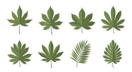 Various green tropical and deciduous leaves set on a white background, featuring different shapes like palm, maple, and monstera foliage.