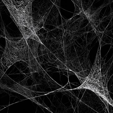 spider web on black background