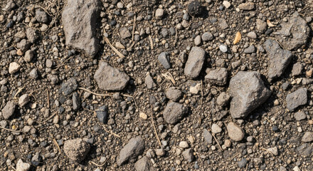 Close-up view of textured ground surface. Uneven terrain of mixed-sized pebbles, small rocks, dirt, and organic debris