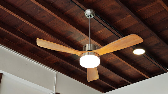 The ceiling fan in the cafe is made of wood.