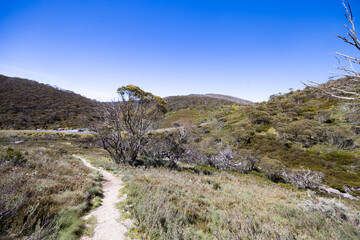 Dead Horse Gap Walking Track in Australia