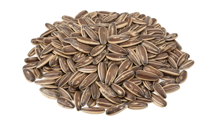 Top view of raw sunflower seeds heap isolated on transparent background