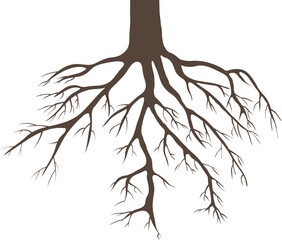 Brown Tree Roots Silhouette for Nature Concept