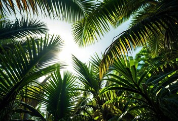 Obraz premium Beautiful nature landscape, high resolution, cinematic view