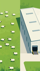 Sheep graze in a field next to an industrial building with a loading dock