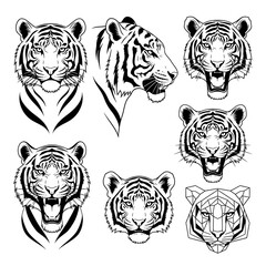 Tiger Head Vector Set.