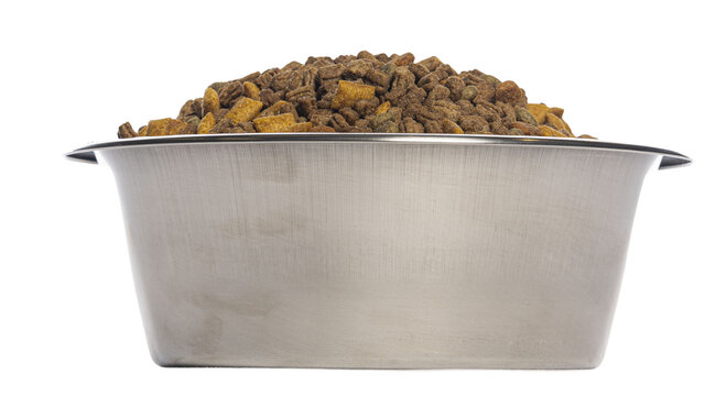 Dog food kibble in metal bowl with transparent background
