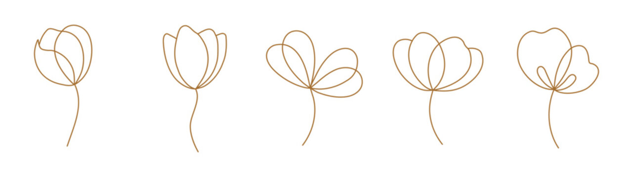Gold flower line art banner set elegant minimalist one line drawing wedding invitation floral vector