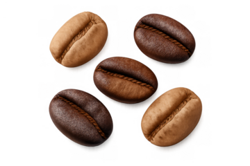 Roasted coffee beans showing light and dark roast variations, a blend for different coffee drinks on transparent background