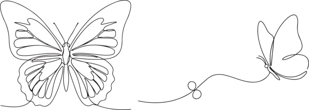 continuous single line drawing of a butterfly vector set.eps