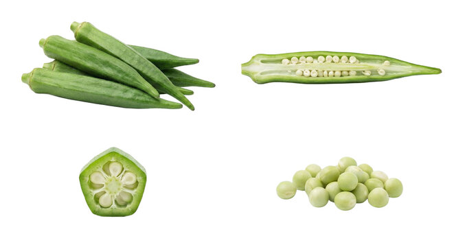 Fresh green okra displayed in multiple forms: whole pods, a halved pod showing seeds, a round cross-section slice, and a pile of seeds arranged on a clean white surface. High quality photo