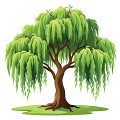 willow tree illustration