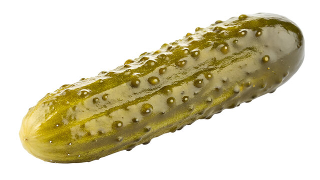 Single Whole Green Bumpy Pickle isolated on transparent background