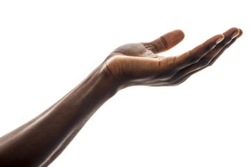 Outstretched Empty Hand Palm Up isolated on transparent background