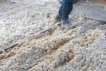 Texture naturelle de laine d'isolation brute pour la rénovation d'une maison et l'amélioration énergétique d'un sol, doux et fibreuse, évoquant authenticité, artisanat et matières textiles naturelles. © Thomas