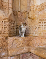 Renovated Divrigi Ulu Mosque Drone Photo, Divrigi Sivas, Turkiye (Turkey)