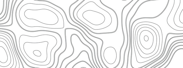 an abstract image of smooth contour lines - similar to a topographic map or the texture of a tree - painted in a soft gray color on a white background.