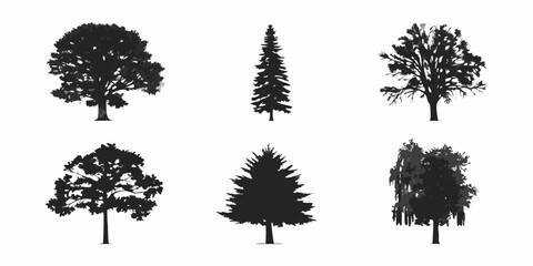 Silhouettes of various tree types against a clean white background