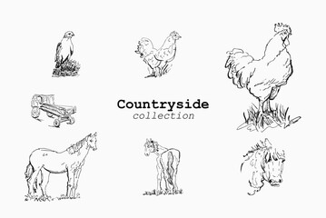 Farm animals sketches set including horse and chicken for rustic branding