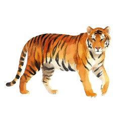 Watercolor-style tiger illustration／虎