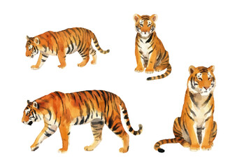 Watercolor-style tiger illustration／虎