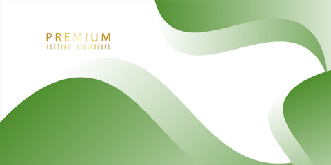 modern premium colorful wavy abstract background with gradient green soft color on background. Vector illustration