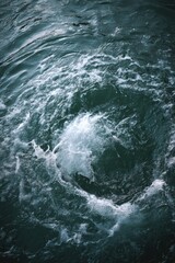 Overhead View of Salmon Breaking Water Surface with Ripples and Foam