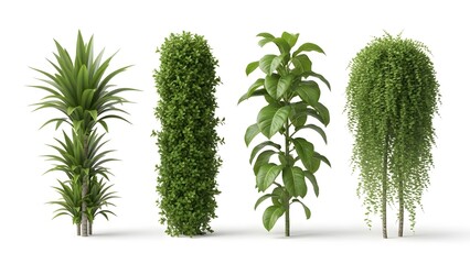 Four Different Green Plants in a Row plant varieties