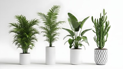Four Green Indoor Plants in White Pots Against White Background