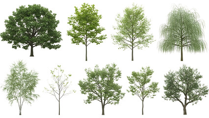 Collection of trees isolated on transparent background