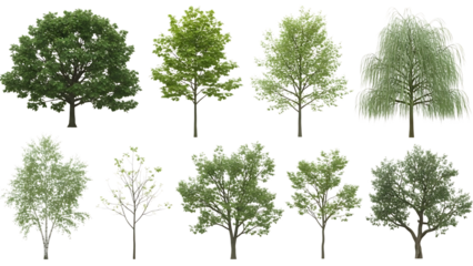 Collection of trees isolated on transparent background
