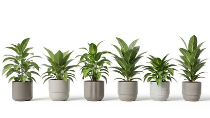Six Green Plants in Gray and White Pots on White Background