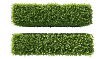 Two Rectangular Green Hedge Sections on White Background