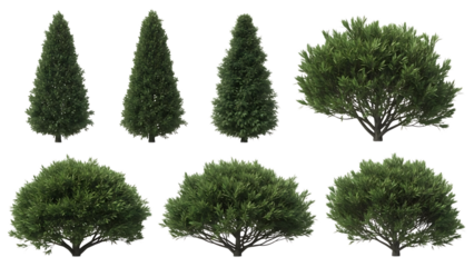 Collection of evergreen trees isolated on transparent background