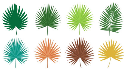 Colorful tropical palm leaves collection design elements and backgrounds © ellisa_studio