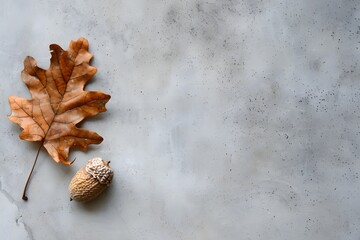 Minimal Flat Lay of Dried Oak Leaf and Acorn on Concrete Surface