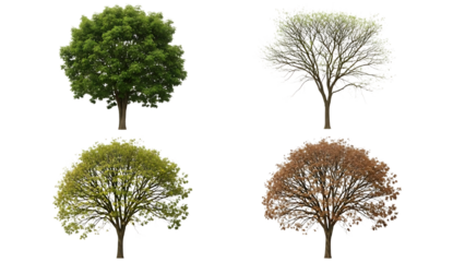 Four seasonal trees isolated on transparent background