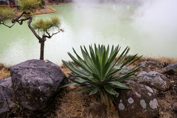The landscape of Shiraike Jigoku water. One of the beppu hell tour located in snow fall at Beppu, Oita, Japan.