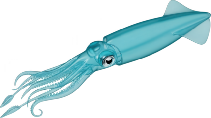 A stylized transparent light blue squid with detailed tentacles and large eyes drifts gracefully through the water cephalopod marine life underwater ocean sea animal creature transparent background