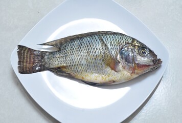 Fresh Whole Tilapia Fish on White Plate Isolated