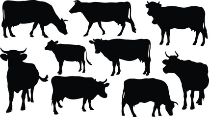 cow, silhouette, cattle, animal, farm, agriculture, field, pasture, grazing, mammal, livestock, domestic, black, white, vector, illustration, design, graphic, country, rural, nature, wildlife, standin