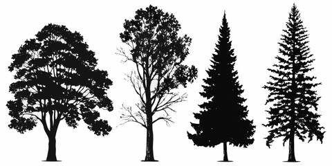 Obraz premium Silhouettes of four different types of trees against a white background