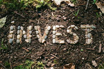 Top-down view of the word Invest spelled out using small grey stones and pebbles on dark soil. The ground is covered with natural debris, green moss, and dry leaves. 