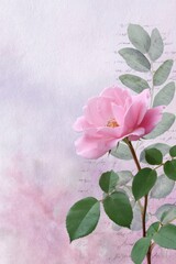 a collage background with distressed textures and faded script, with a single rose in the corner, pink tones