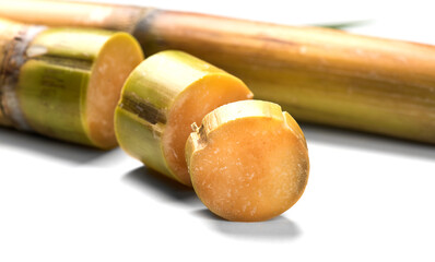 Sugar cane stalks and leaves, sugarcane sticks isolated on white background, macro shot. Organic Saccharum Officinarum plant, horizontal photo, border design  