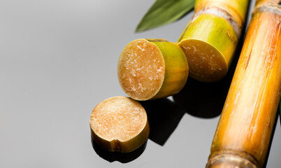 Sugar cane stalks and leaves, sugarcane sticks on black background. Organic Saccharum Officinarum plant flat lay, horizontal photo, border design  
