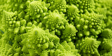 Romanesco broccoli cabbage or Roman Cauliflower abstract texture green background, macro shot. Fresh Food design, vegan backdrop, fractals structure