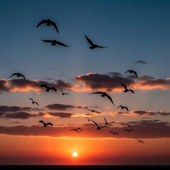 Birds at Sunset Silhouette.