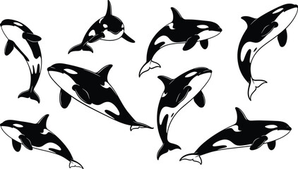Orca, killer, whale, silhouette, swimming, marine, ocean, black, white, fish, fins, nature, sea, animal, underwater, vector, graphic, design, wild, motion, aquatic, illustration © Creative Mind