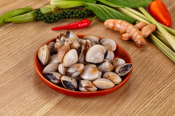 Raw fresh wild clams mollusc © Andrei Starostin